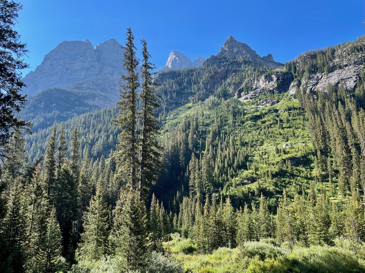 Trail View