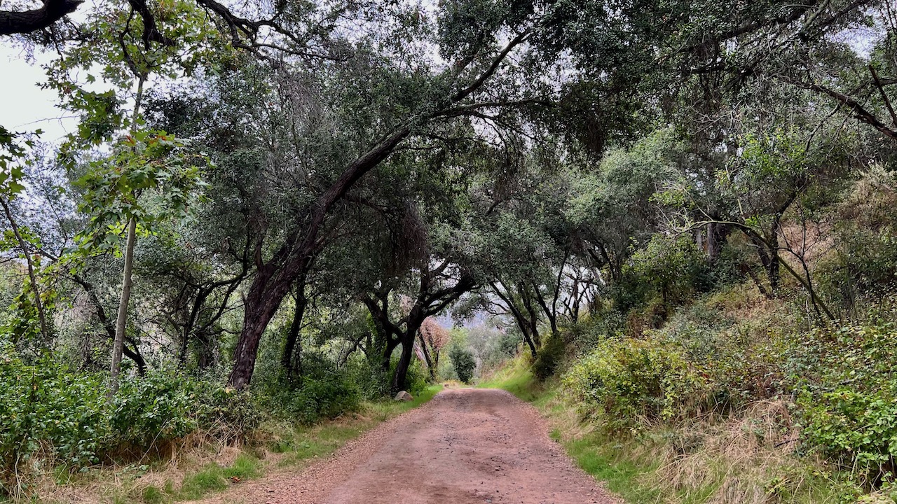 Trail View