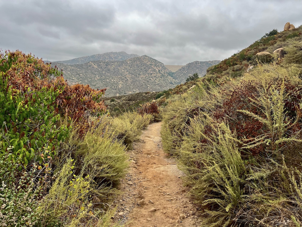 Trail View