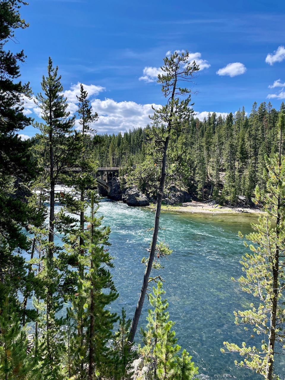 Trail View