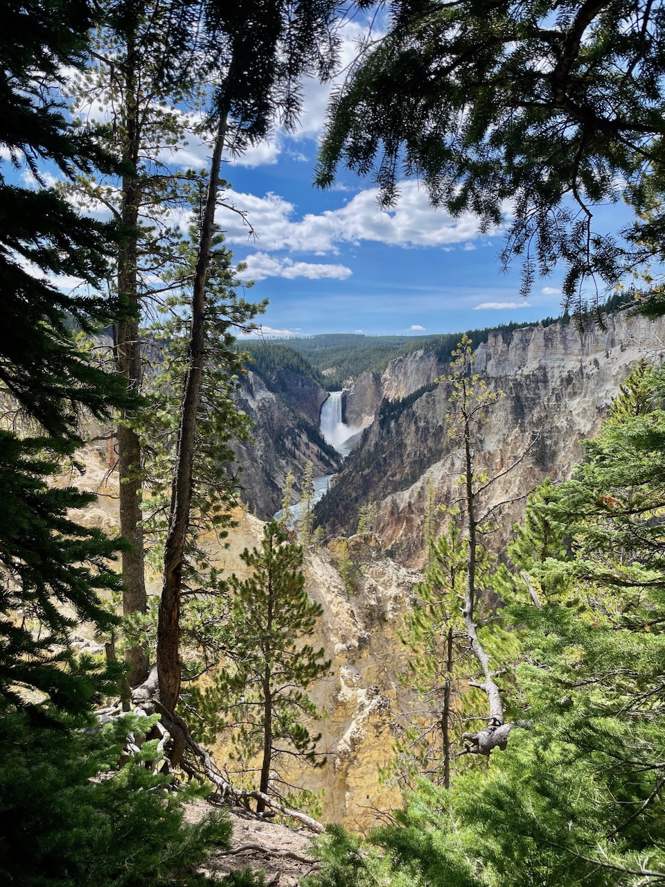 Lower Falls