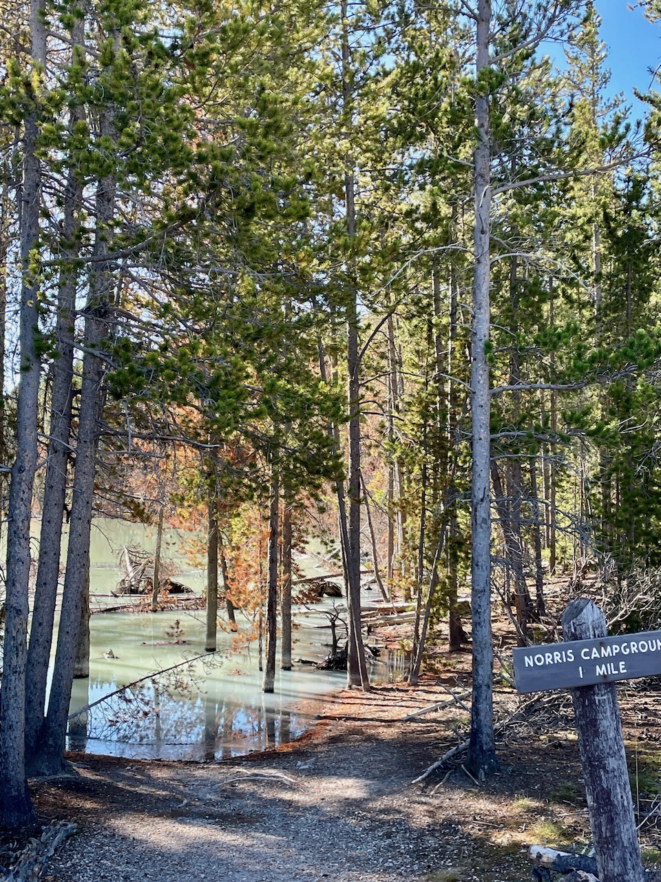 Trail View