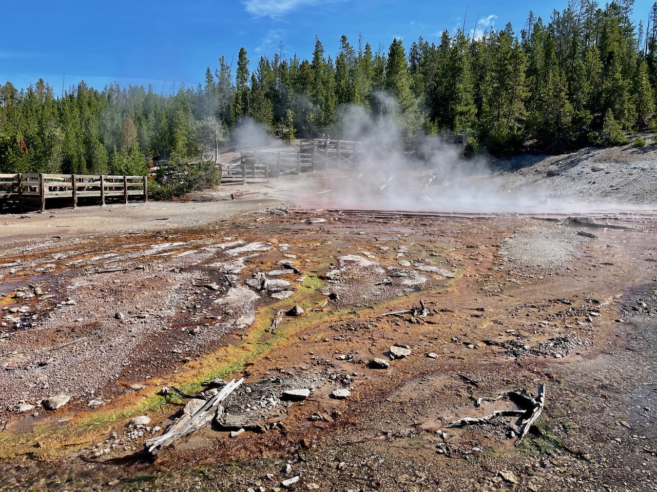 Geyser Basin