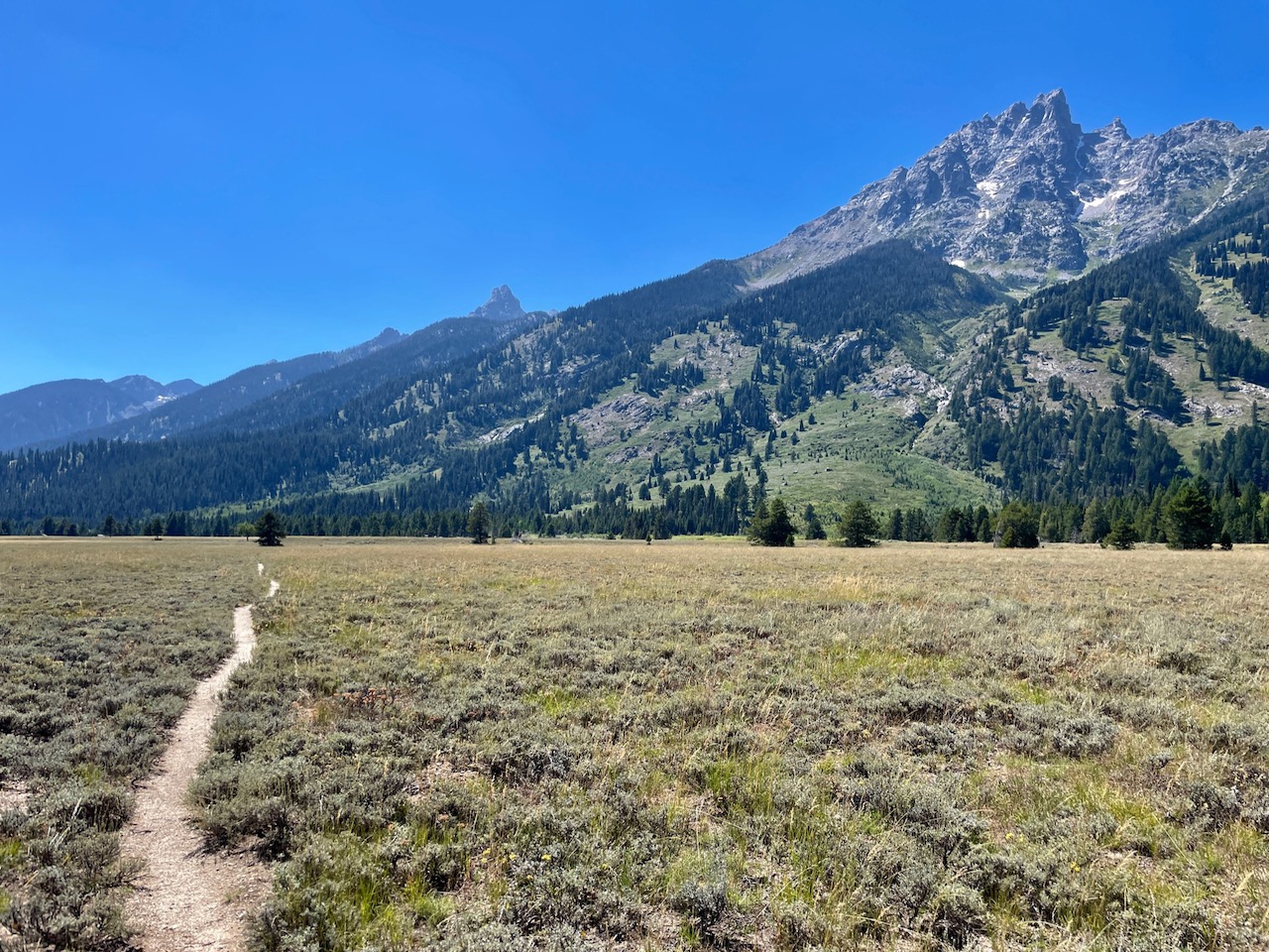 Trail View