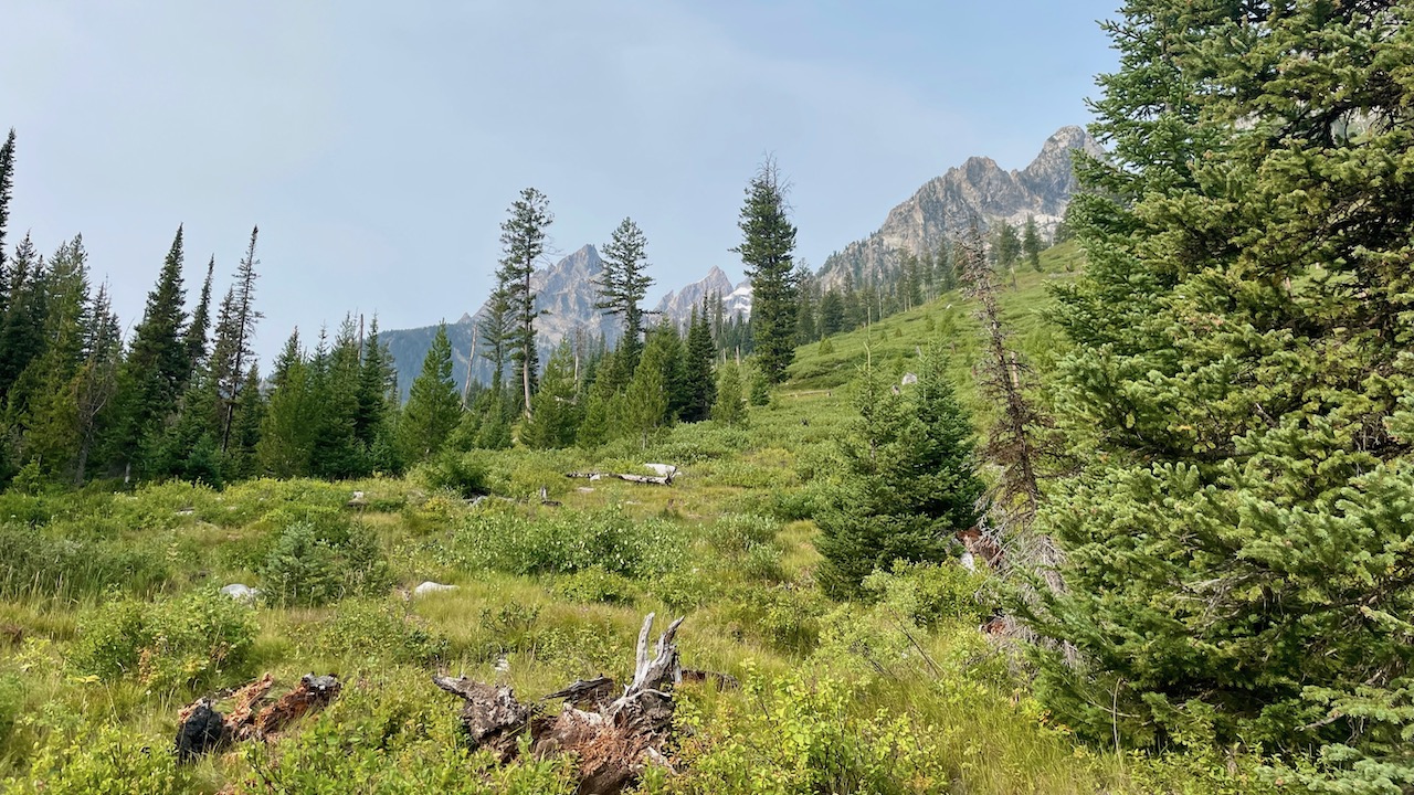 Trail View