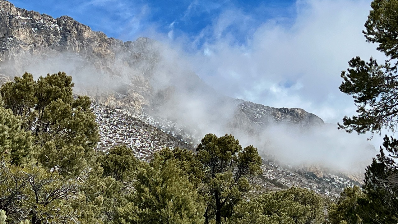 Trail View