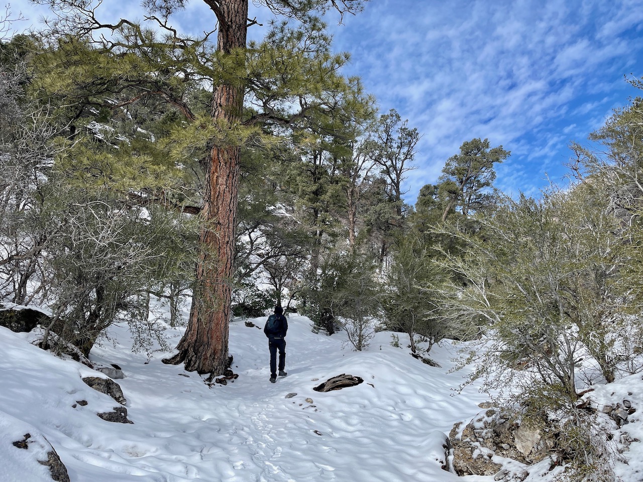 Trail View