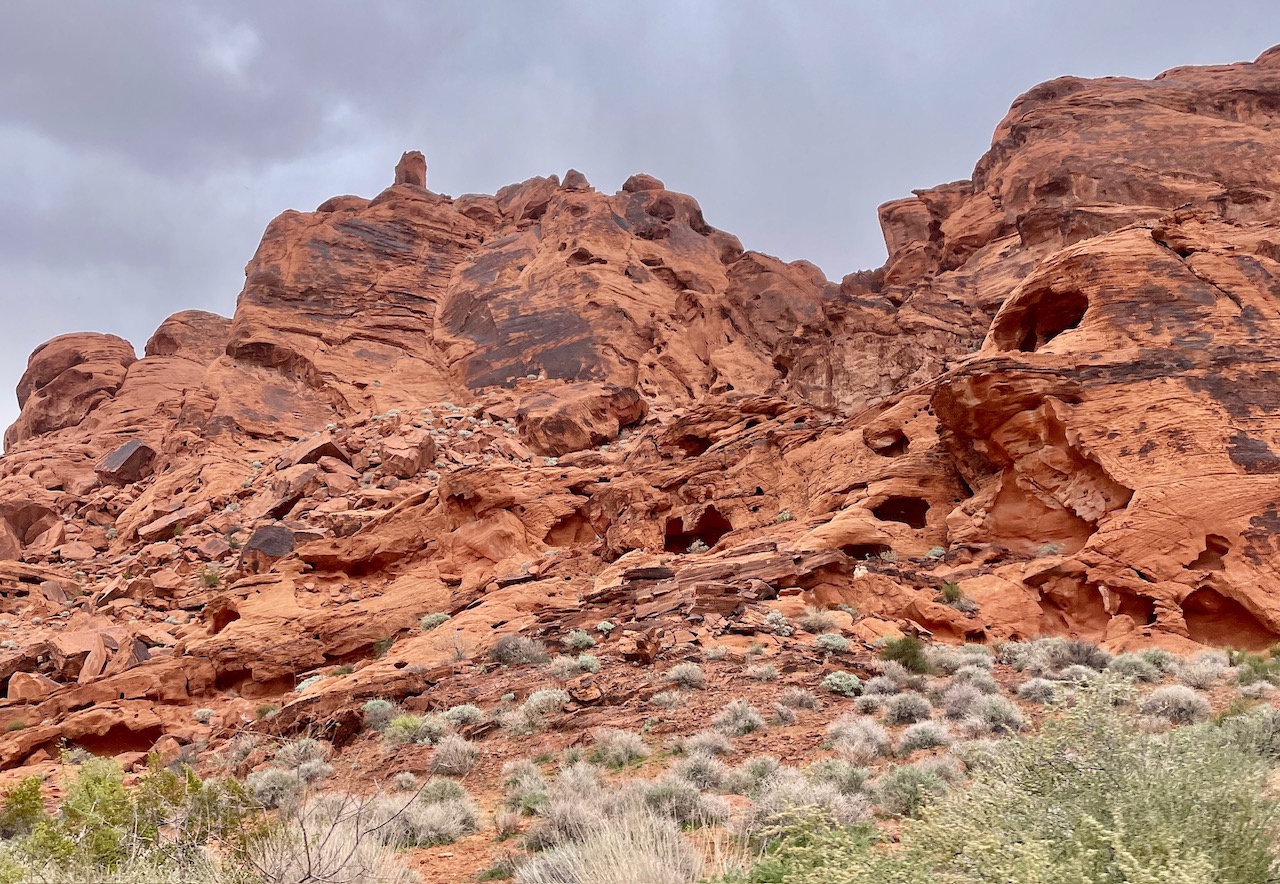 Trail View