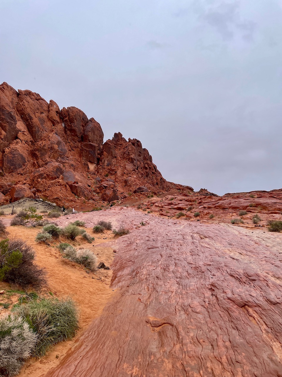 Trail View