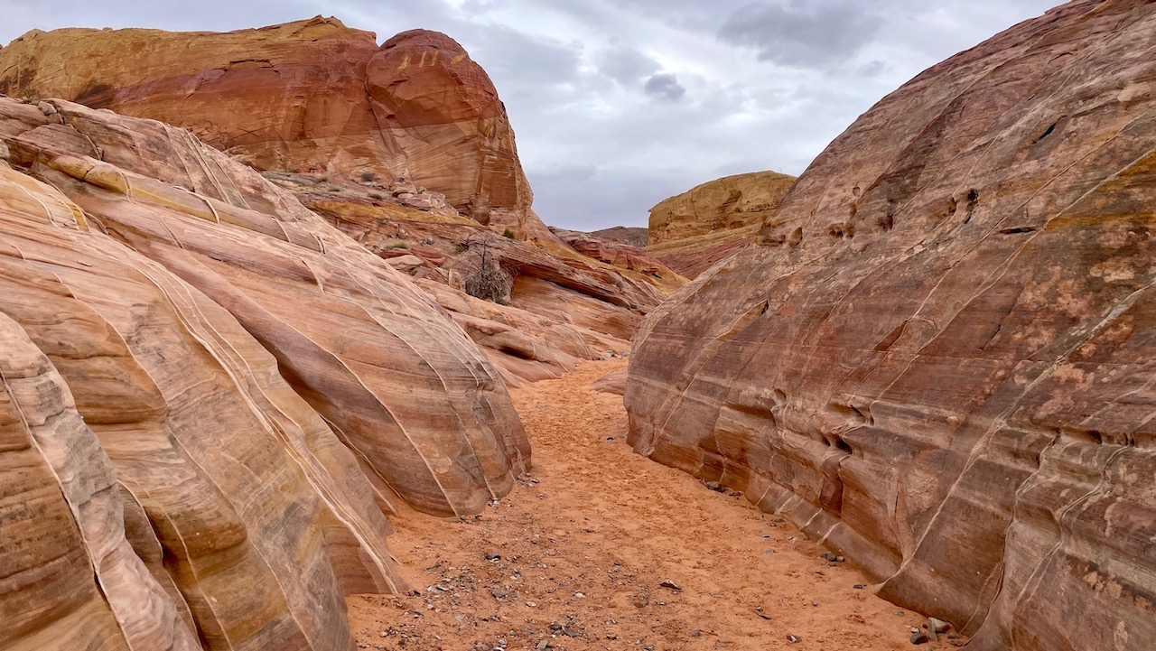 Trail View