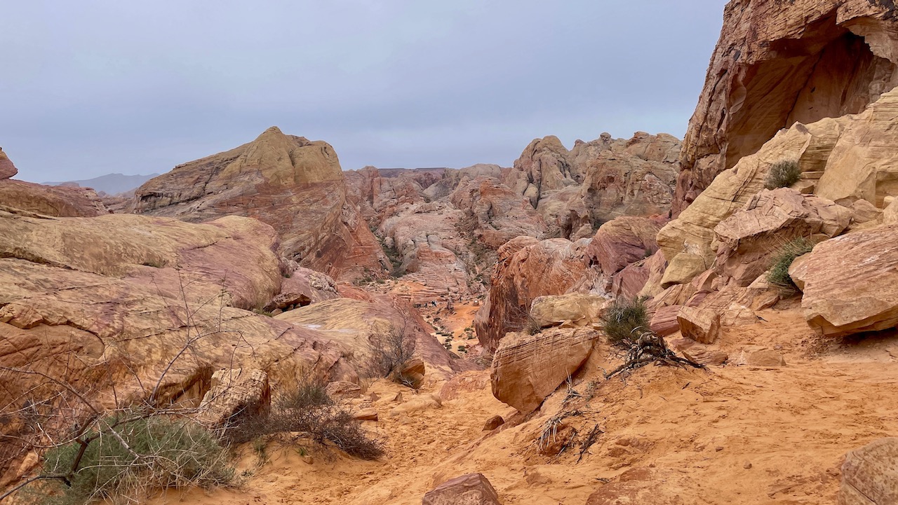 Trail View