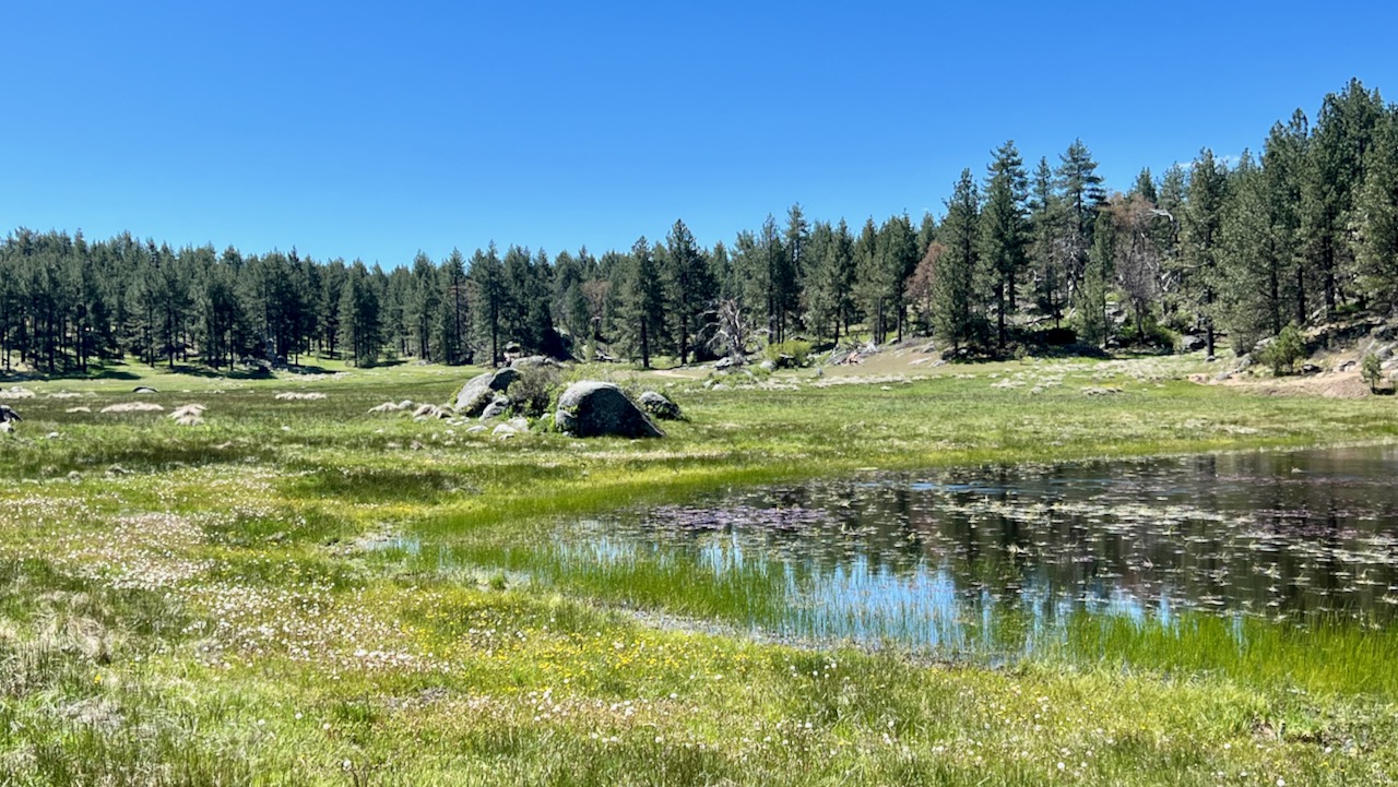 Trail View