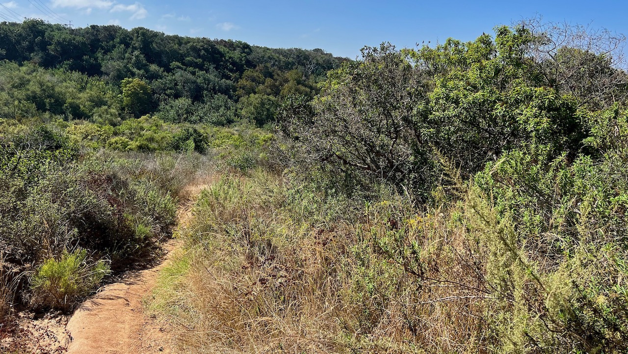 Trail View