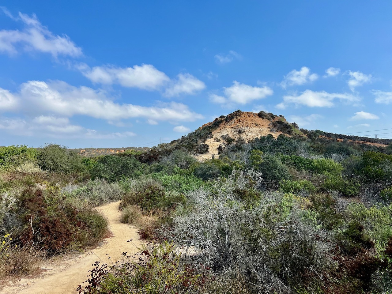 Trail View