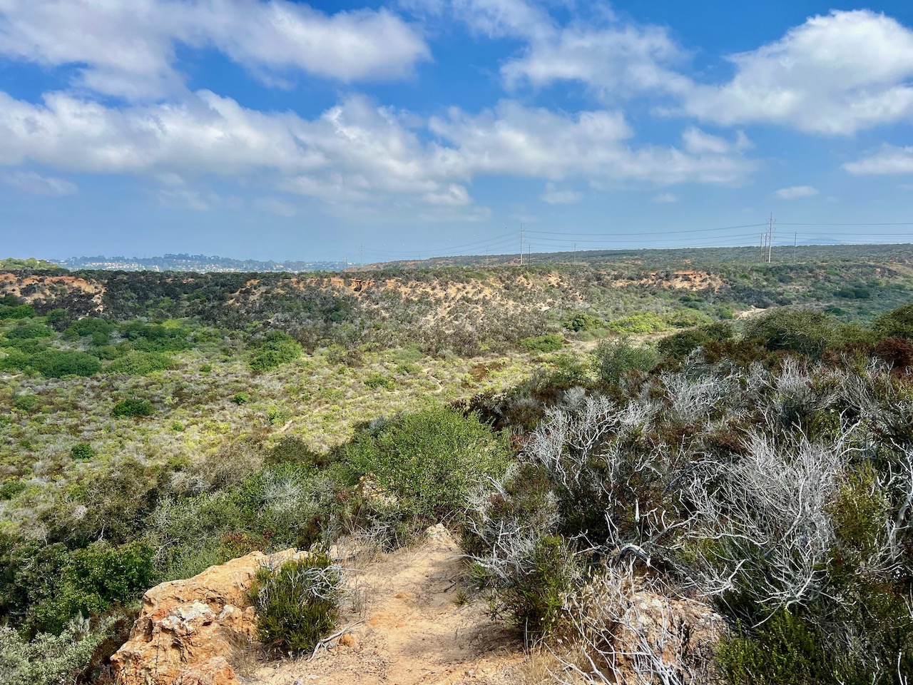 Trail View