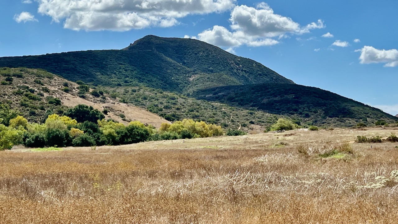 Trail View