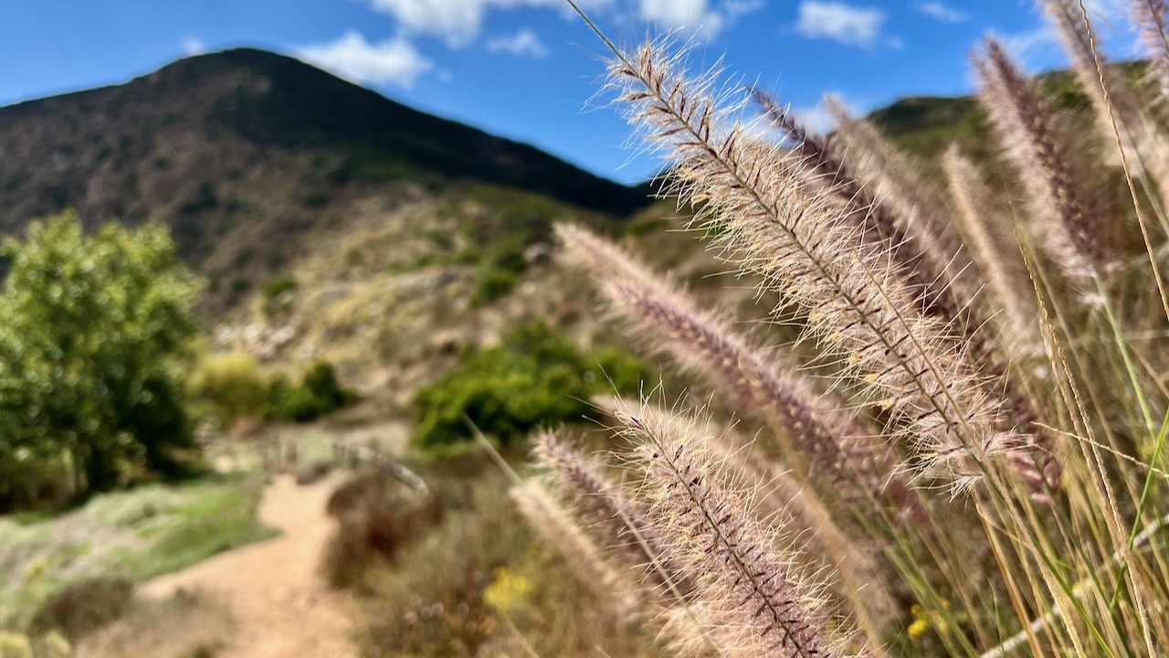 Trail View