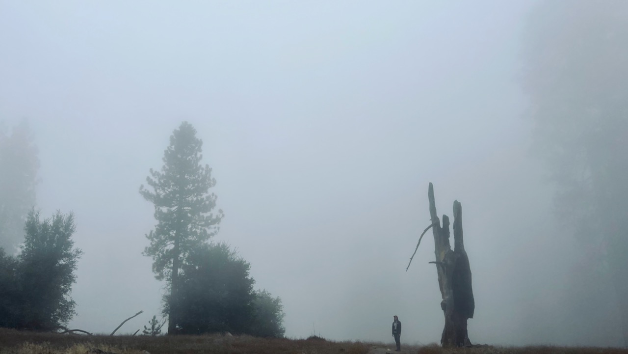 Trail View