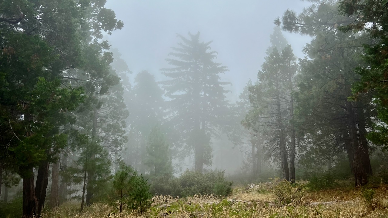 Trail View