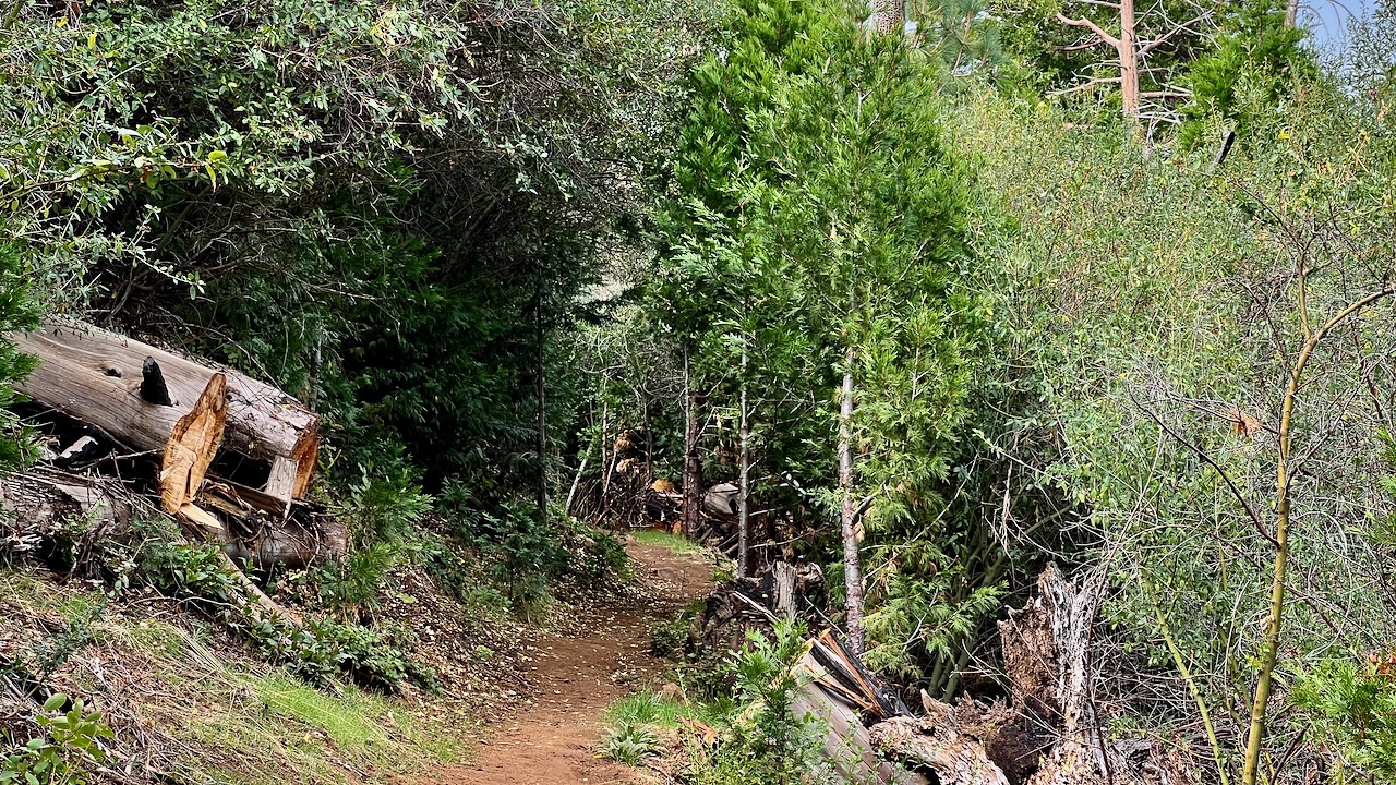 Trail View