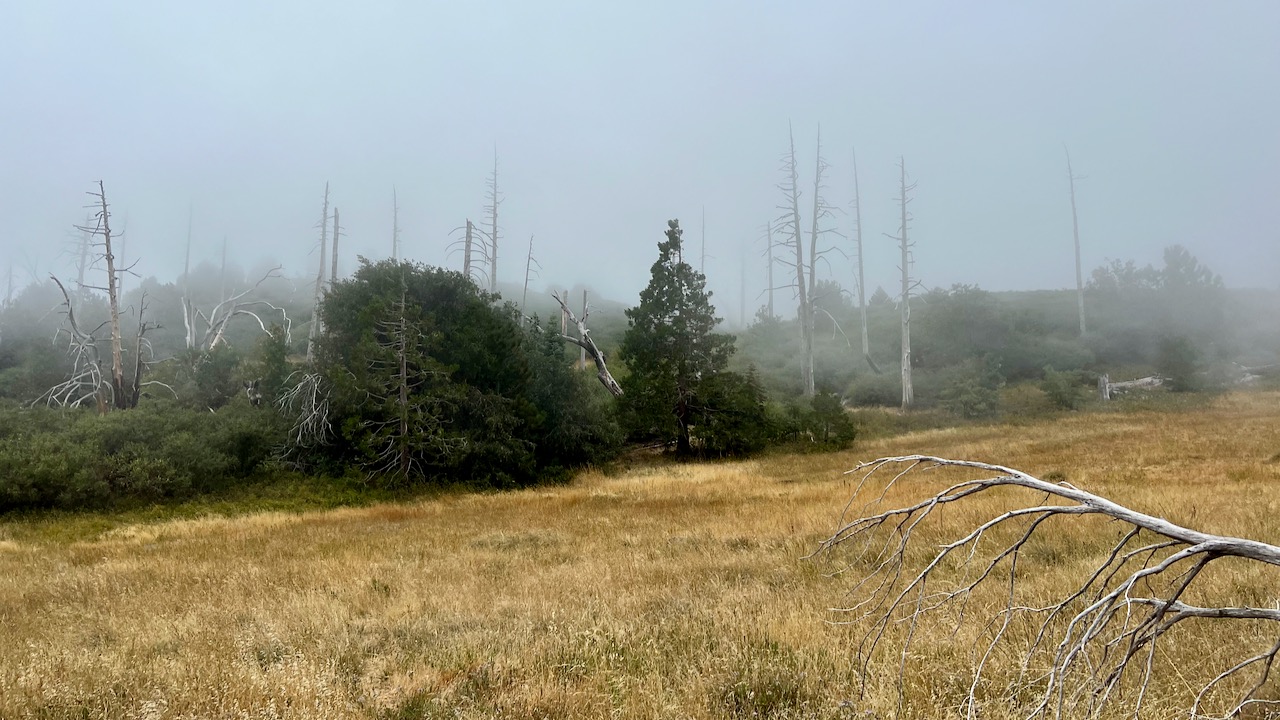 Trail View