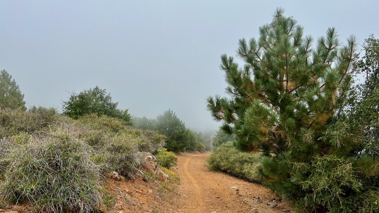 Trail View