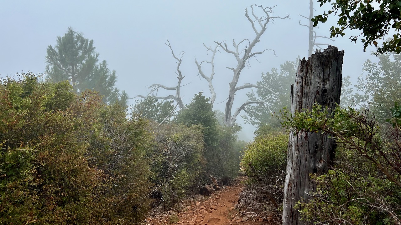 Trail View