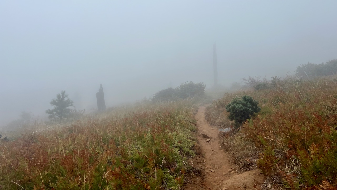 Trail View