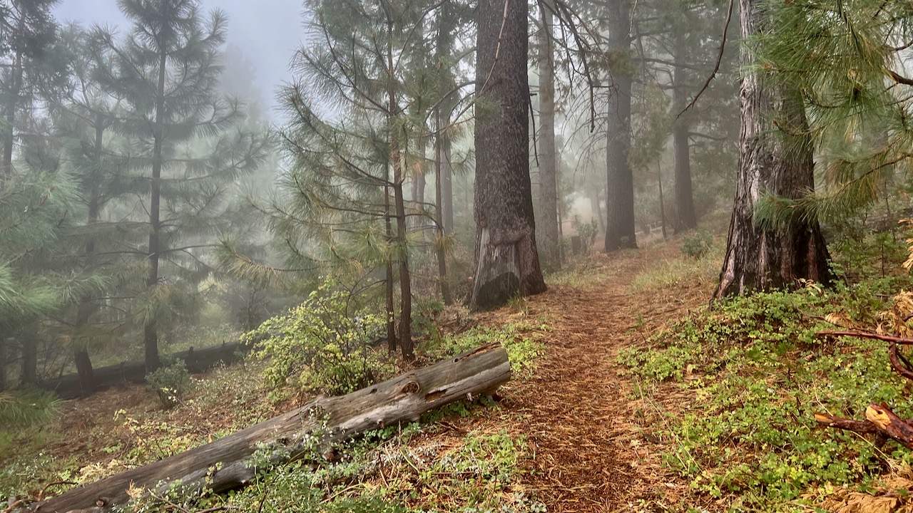 Trail View