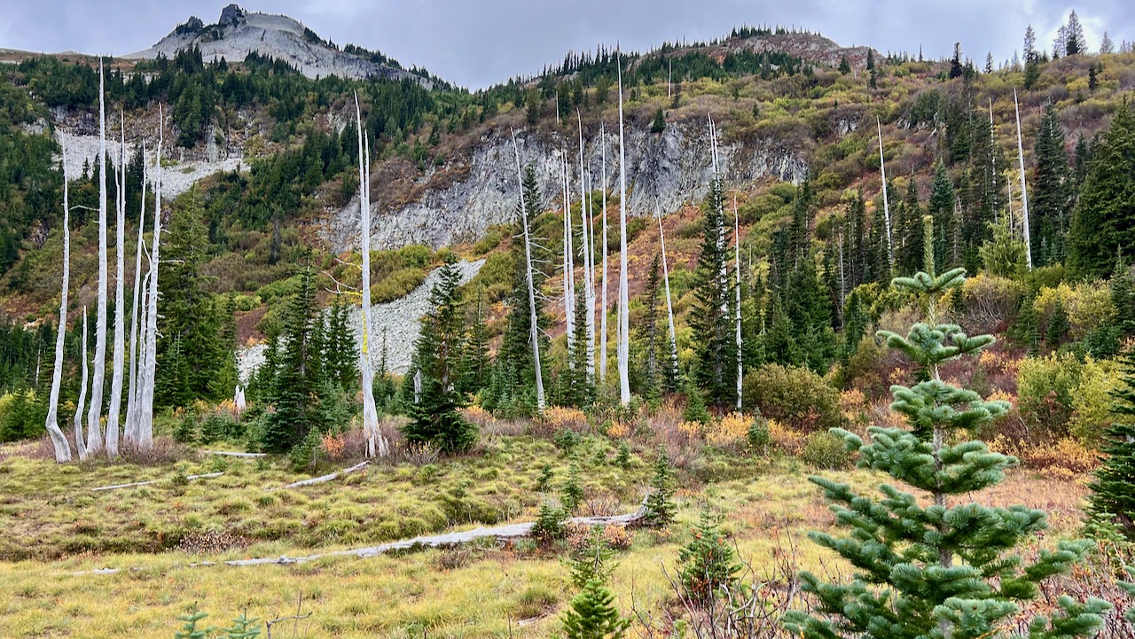 Trail View