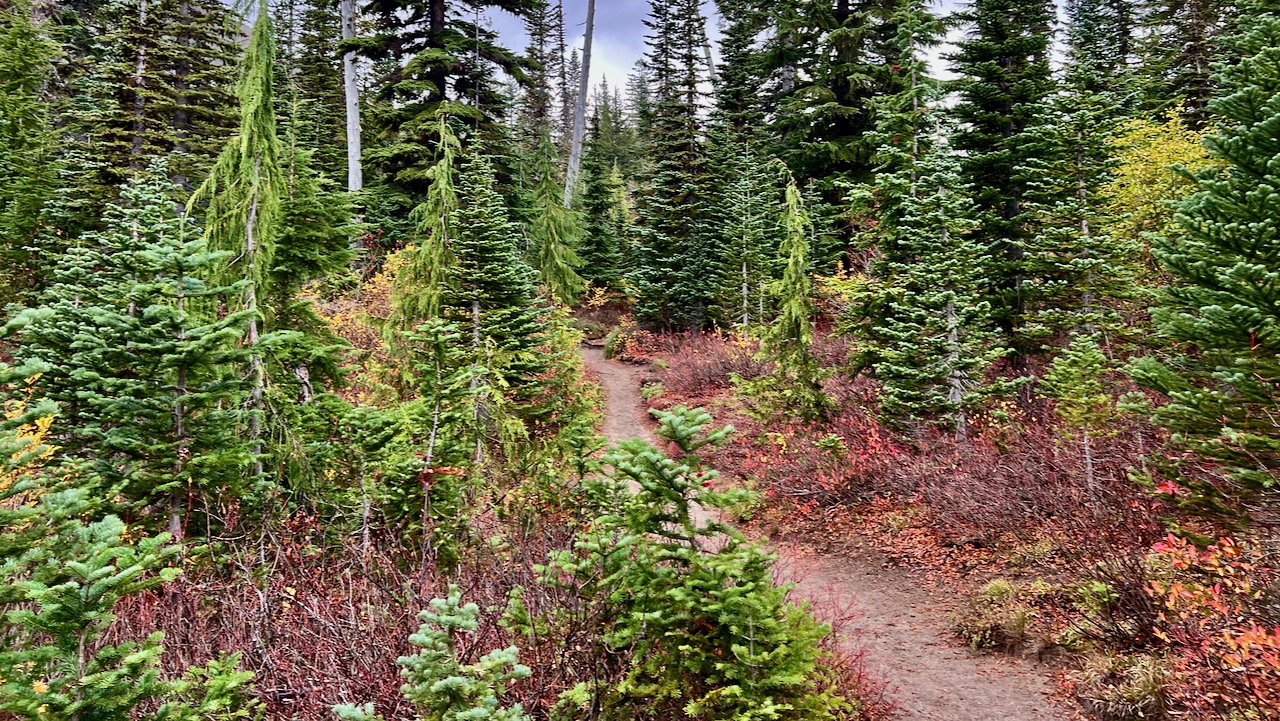 Trail View