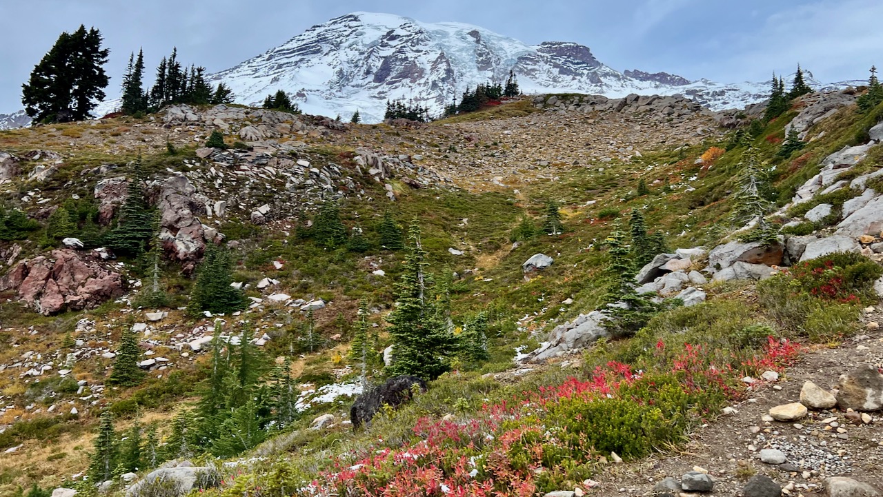 Mount Rainier