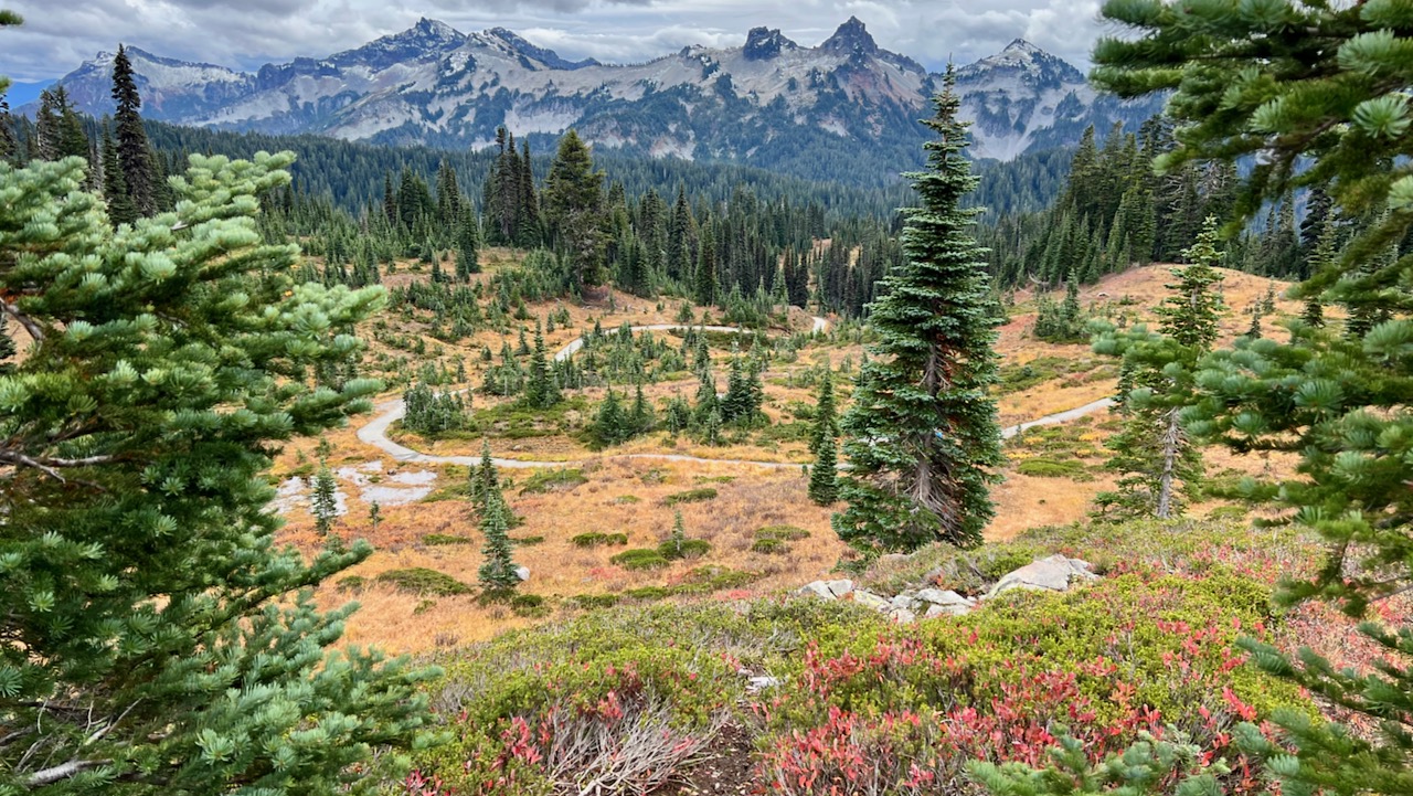 Trail View