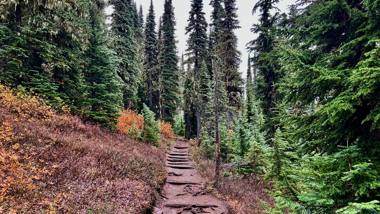 Trail View