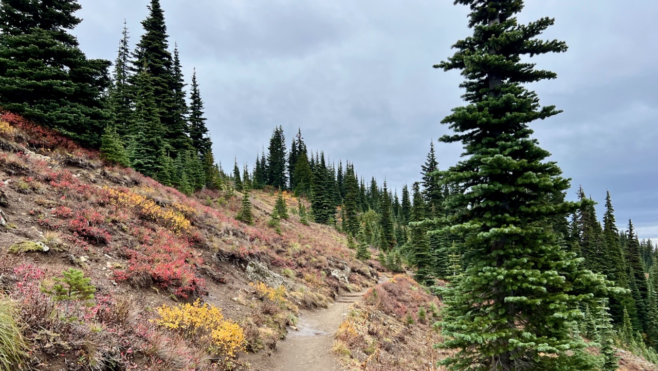 Trail View