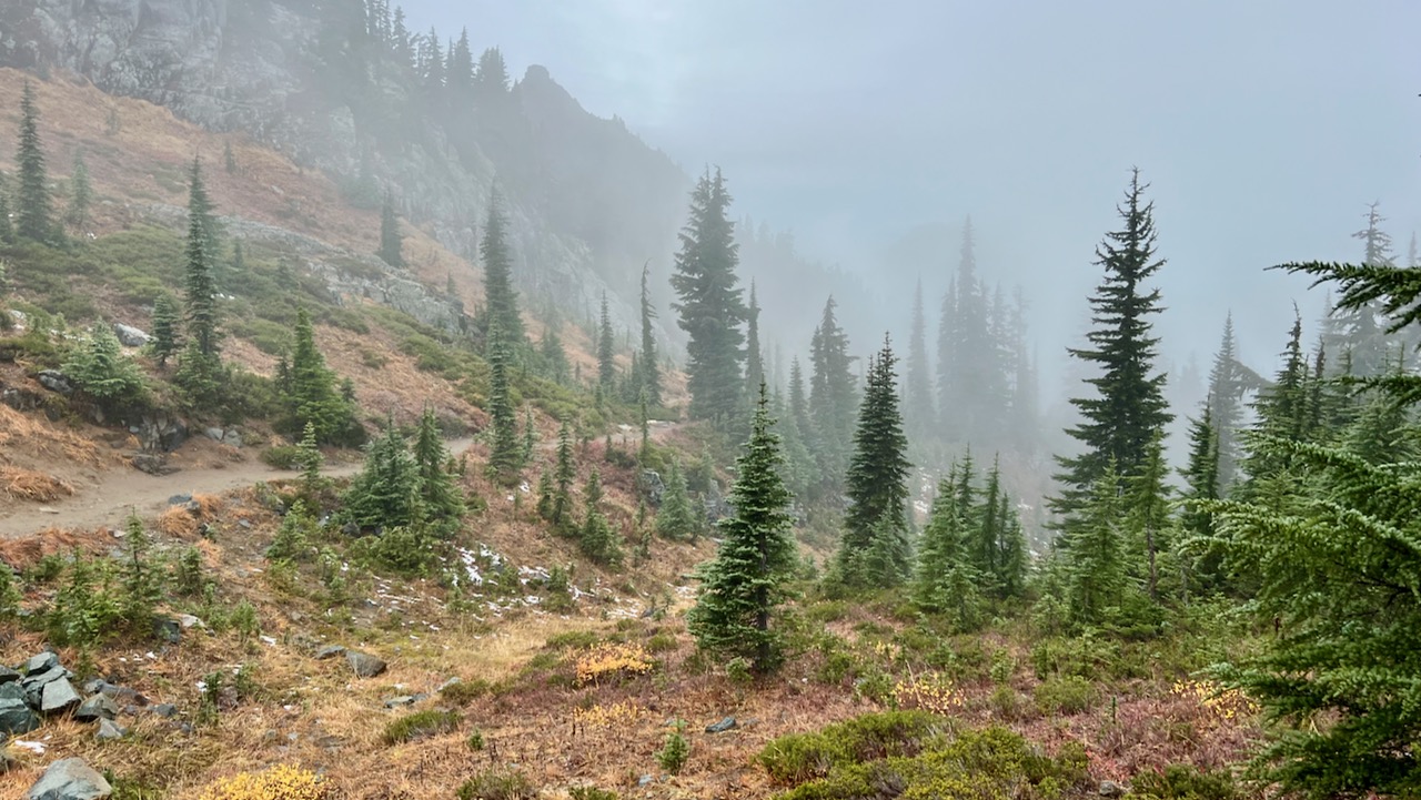 Trail View