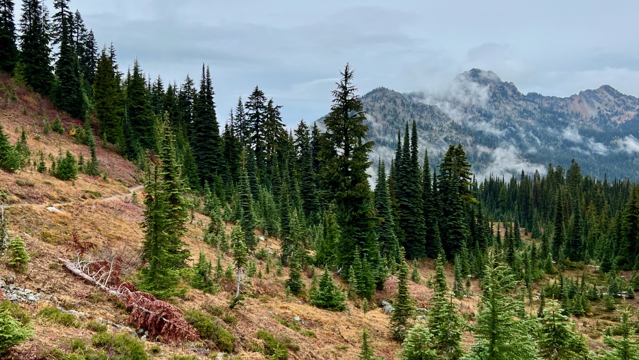 Trail View