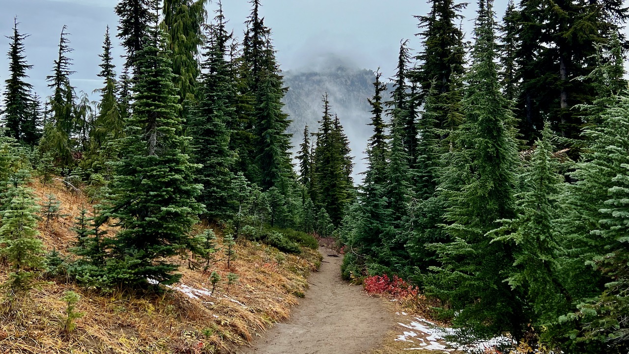 Trail View