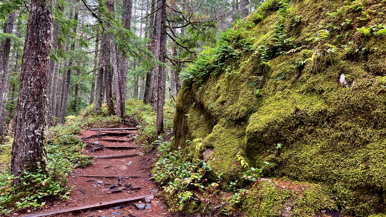 Trail View