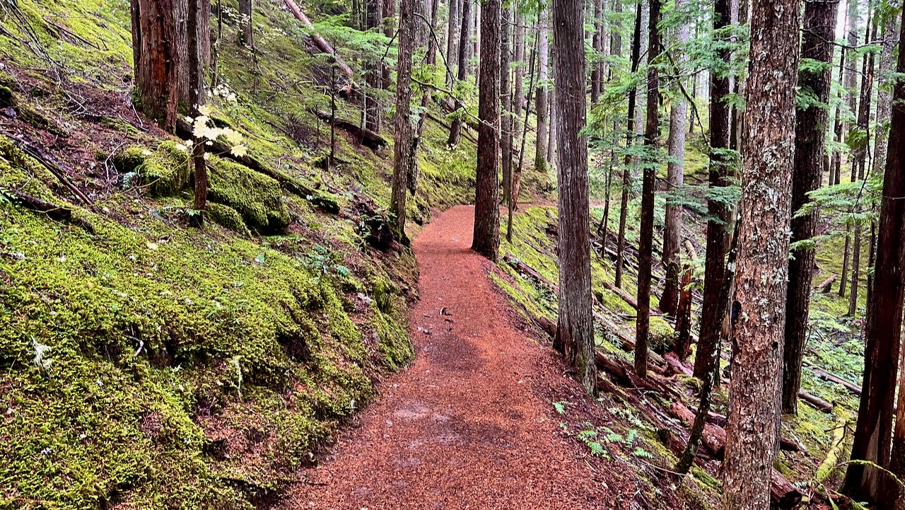 Trail View