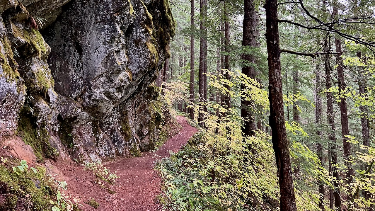 Trail View