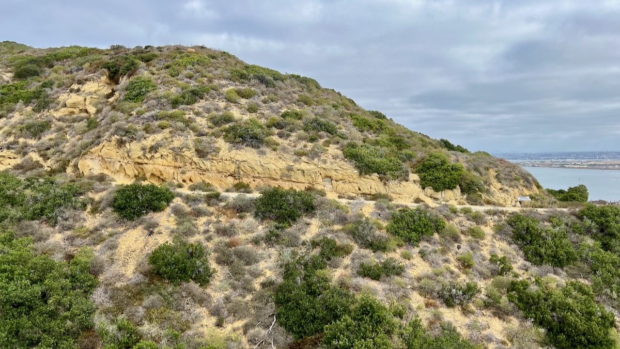 Trail View