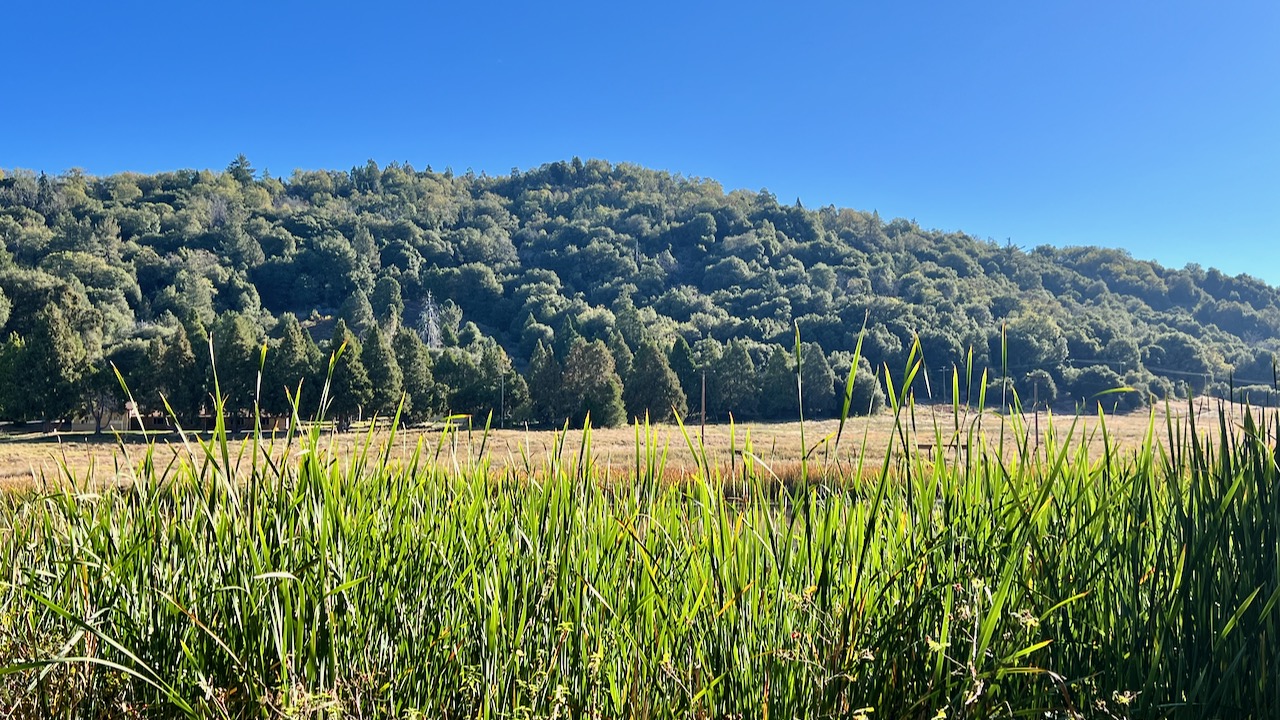 Trail View