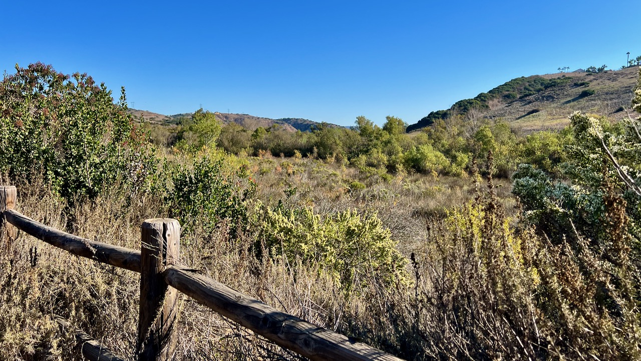 Trail View