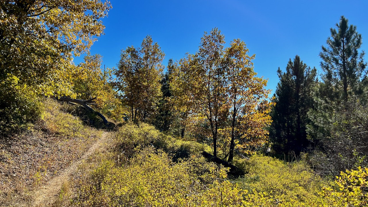 Trail View