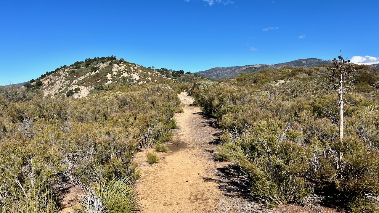 Trail View