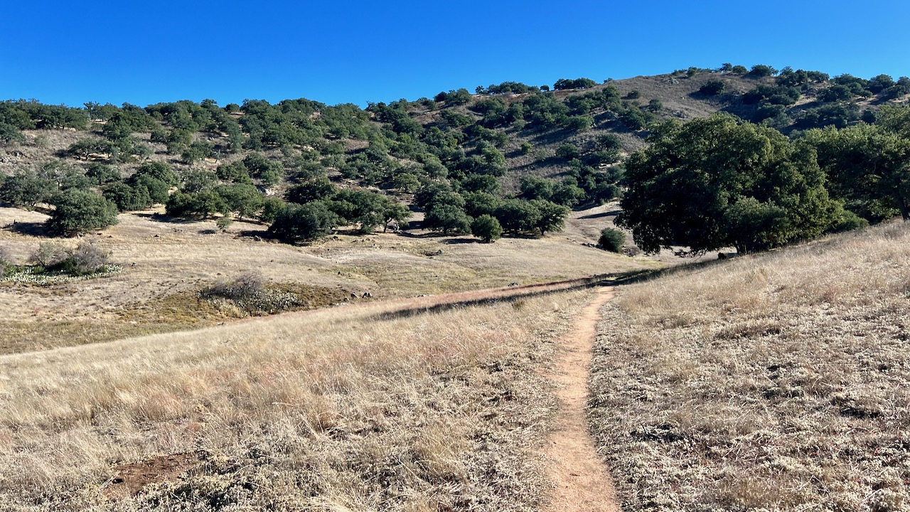 Trail View