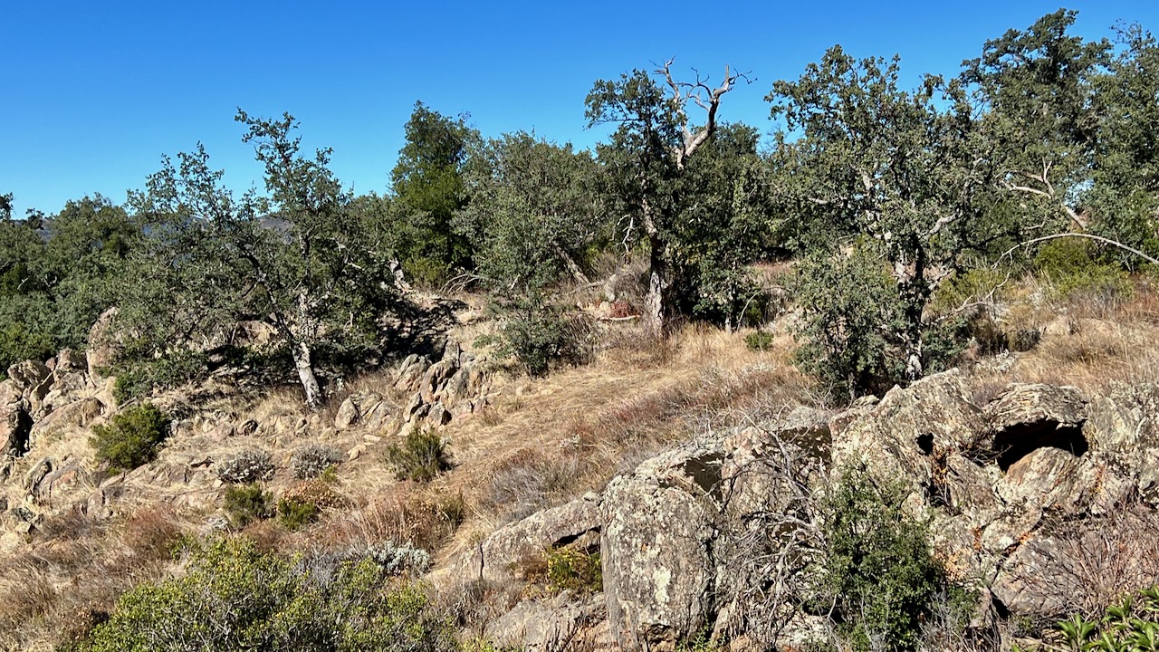 Trail View