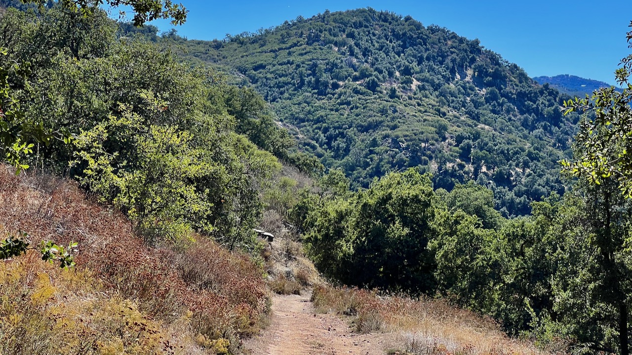 Trail View