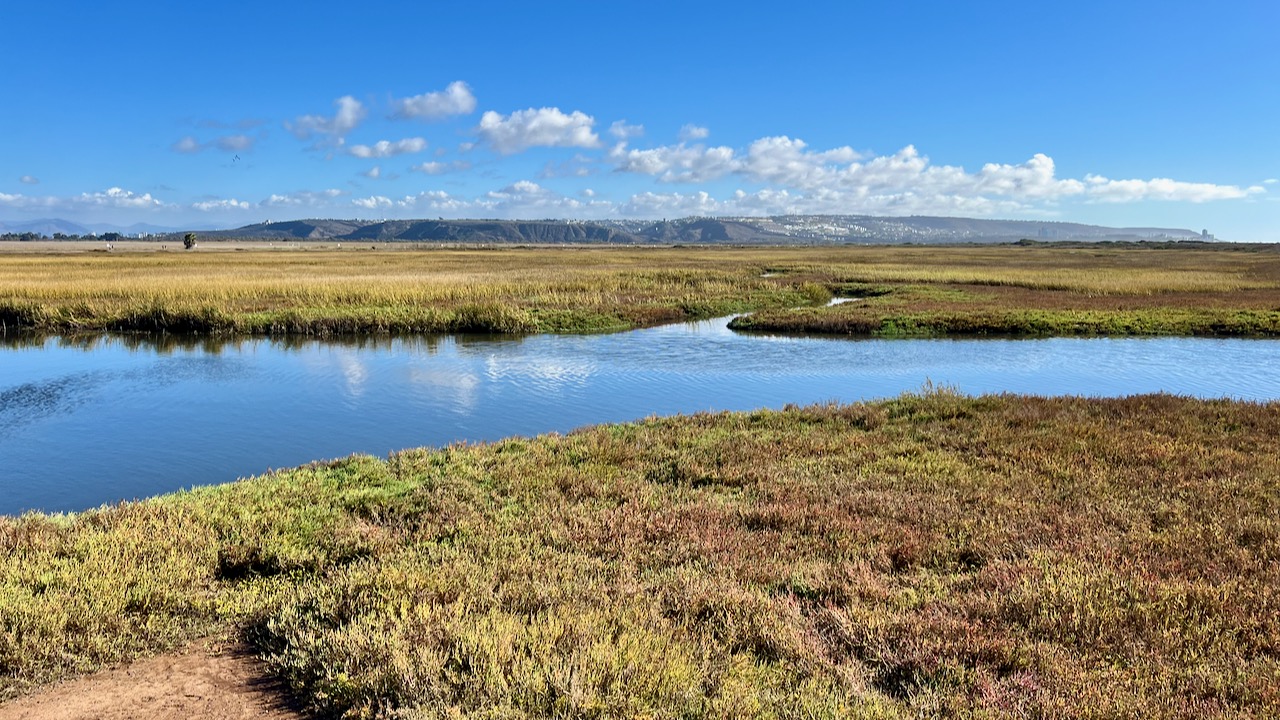 Tijuana Estuary